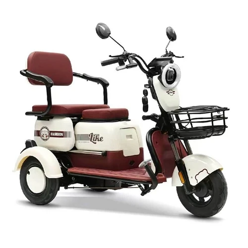 Lo sviluppo futuro dell’industria del triciclo elettrico sarà guidato da molt...